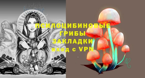СК Алексин