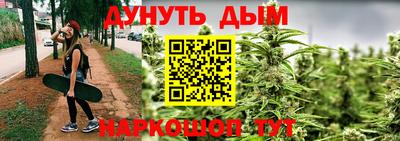 гидропоника Будённовск