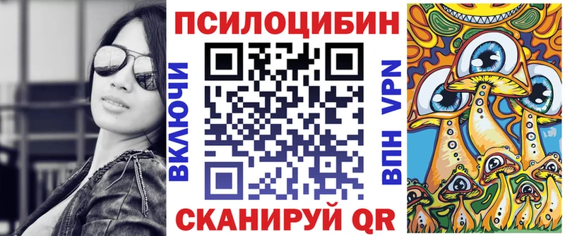 Псилоцибиновые грибы Psilocybe  Грязи 