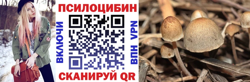Галлюциногенные грибы Psilocybe Грязи