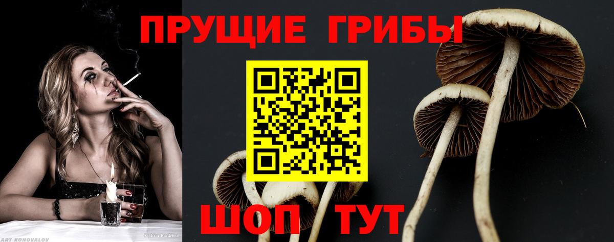 дарнет шоп  Вход с VPN  Грязи  Псилоцибиновые грибы ЛСД 